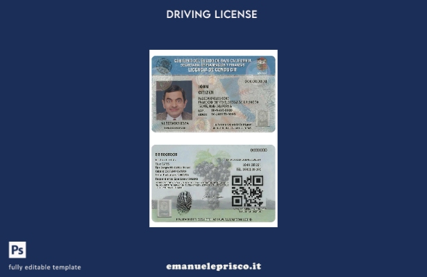 verified style modello di patente di guida Messico Baja California in stile verificato template
